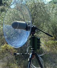 Telinga Modular with Wildlife Acoustics SM-4 Song Meter and Wildlife Acoustics SMM-A2 microphone mounted in the dish for the directional channel. A second SMM-A2 microphone is mounted below dish for the ambience channel.